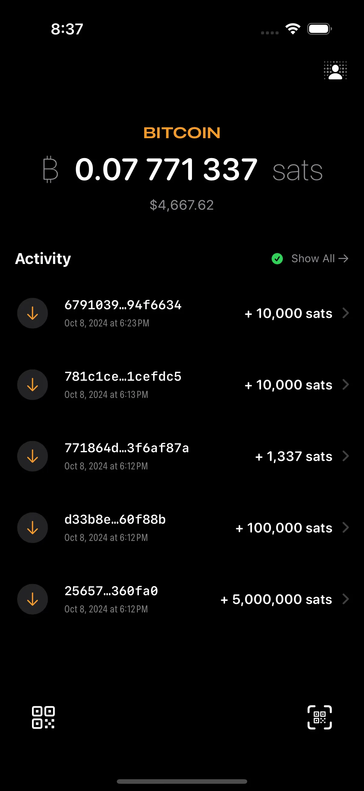 BDK Swift Example Wallet Balance